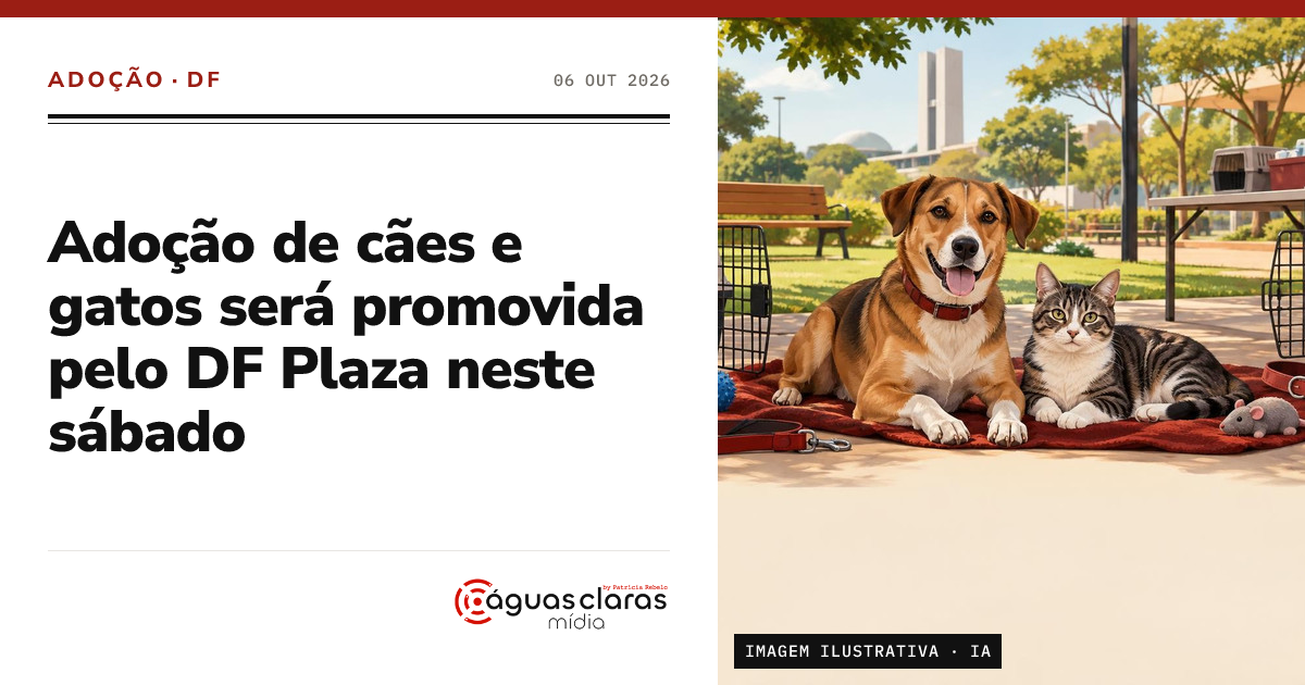 Adoção de cães e gatos será promovida pelo DF Plaza neste sábado