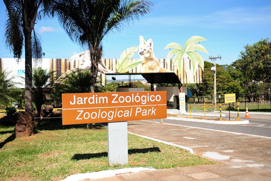12.12.2019-O-zoológico-é-um-dos-órgãos-do-GDF-com-mais-elogios-na-Ouvidoria.-Foto-Paulo-H.-Carvalho-Agência-Brasília