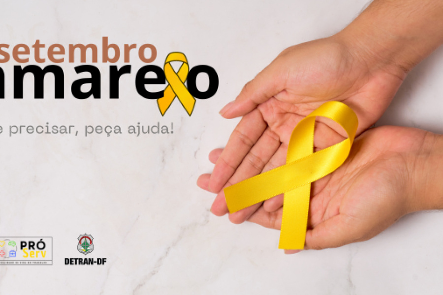 Setembro-amarelo-capa-intra