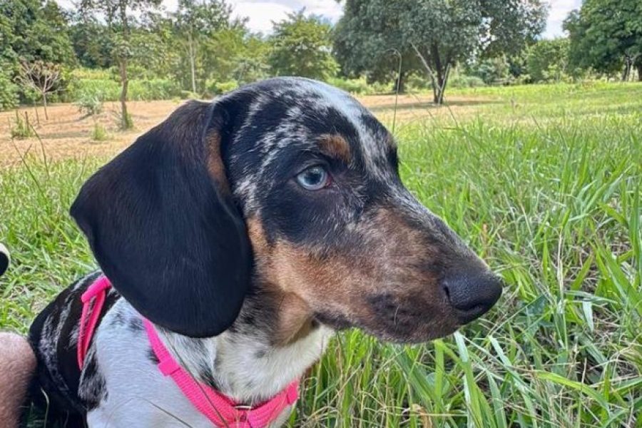 WhatsApp Image 2025-11-10 at 13.16.27