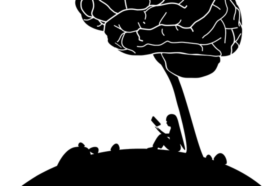 anatomy-1751138_640