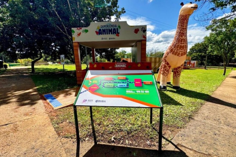 b9671210-8cb8-e92d-c496-641048aff2fc-1024x768