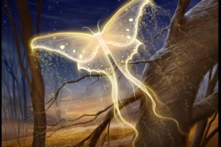 spirit-butterfly-e1527703101678